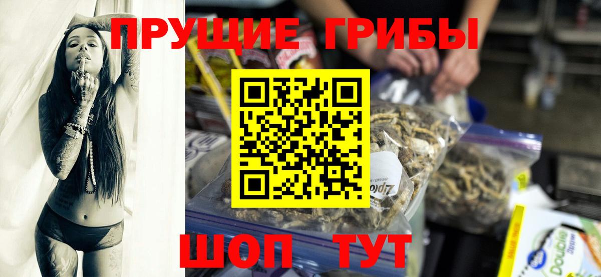Учалы  Псилоцибиновые грибы Cubensis  Вход с VPN 