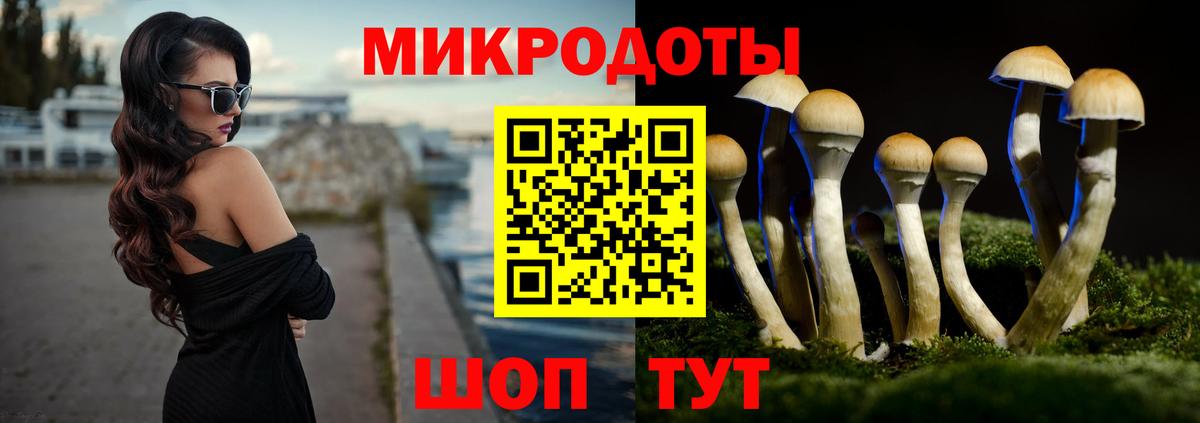 Псилоцибиновые грибы Cubensis Учалы